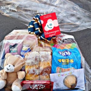 CESTA INFANTIL